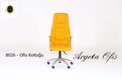 geniş yapılı lüks Yönetici ofisleri için tasarlanmış